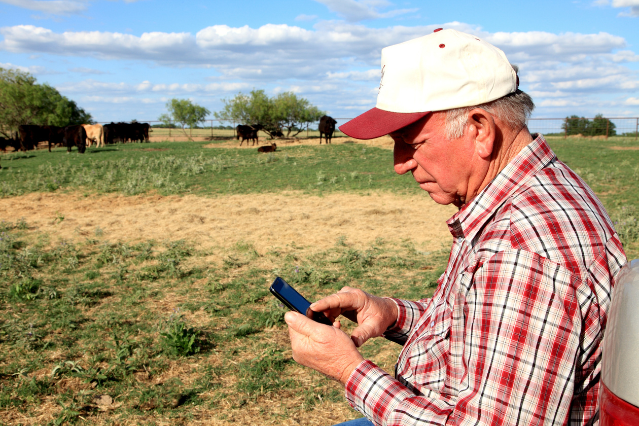 Agriculture: Farmer or rancher with Smart Phone and Cattle